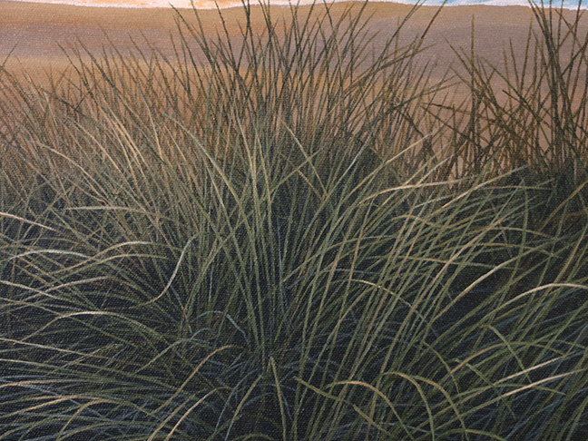 Grass-Dunes