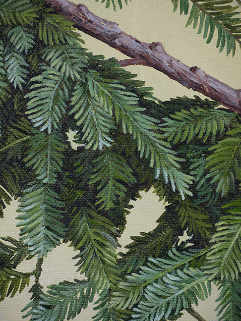 Branch-detail-2