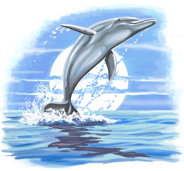 Dolphin art