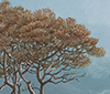 Trees detail thumb