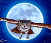 Owl thumbnail